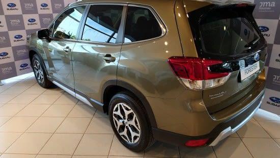 forester 4