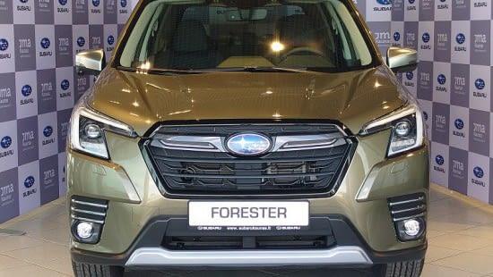 forester 5