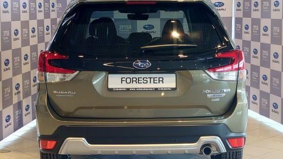 forester 6